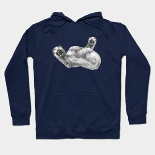 Siberian Weasel Kolinsky Kolonok Hoodie